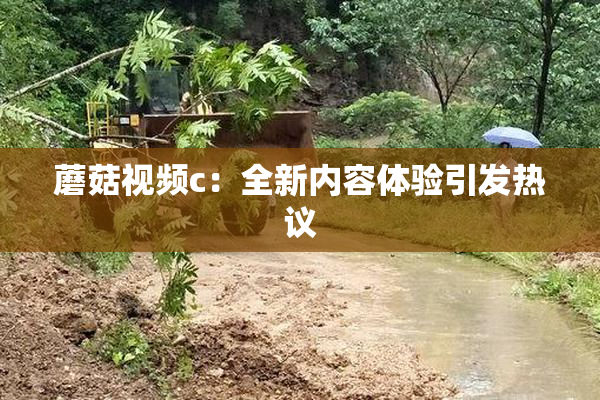 蘑菇视频c：全新内容体验引发热议
