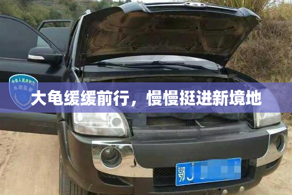 大龟缓缓前行，慢慢挺进新境地