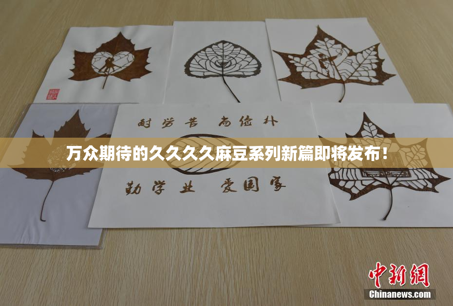 万众期待的久久久久麻豆系列新篇即将发布！