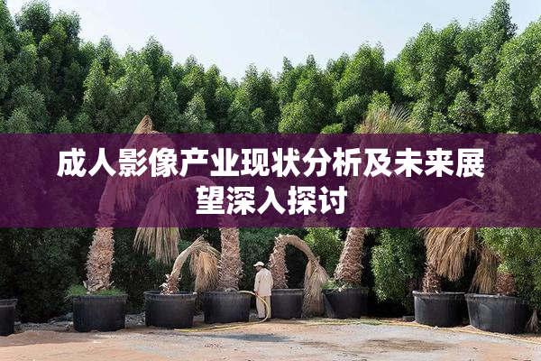 成人影像产业现状分析及未来展望深入探讨
