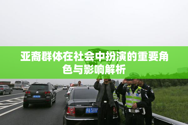 亚裔群体在社会中扮演的重要角色与影响解析