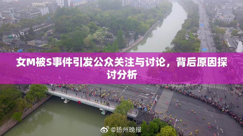 女M被S事件引发公众关注与讨论，背后原因探讨分析
