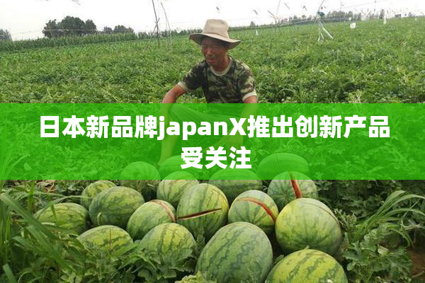 日本新品牌japanX推出创新产品 受关注