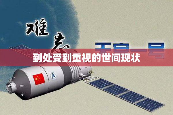 到处受到重视的世间现状