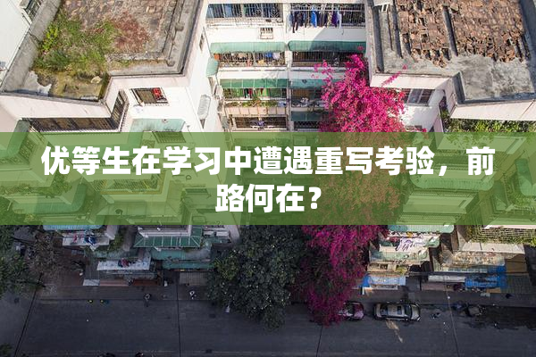 优等生在学习中遭遇重写考验，前路何在？