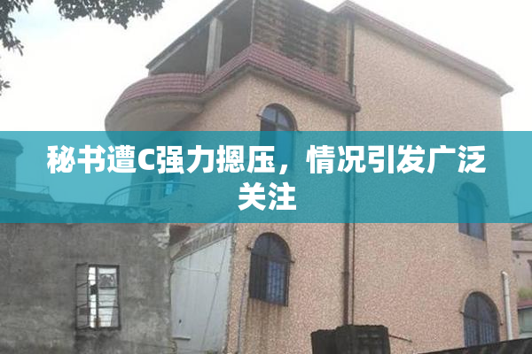 秘书遭C强力摁压，情况引发广泛关注