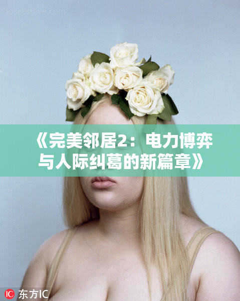 《完美邻居2：电力博弈与人际纠葛的新篇章》
