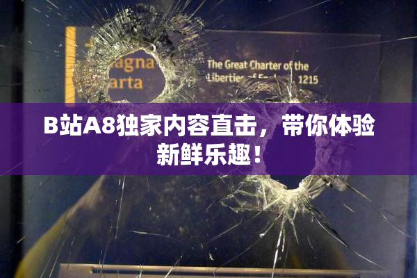 B站A8独家内容直击，带你体验新鲜乐趣！
