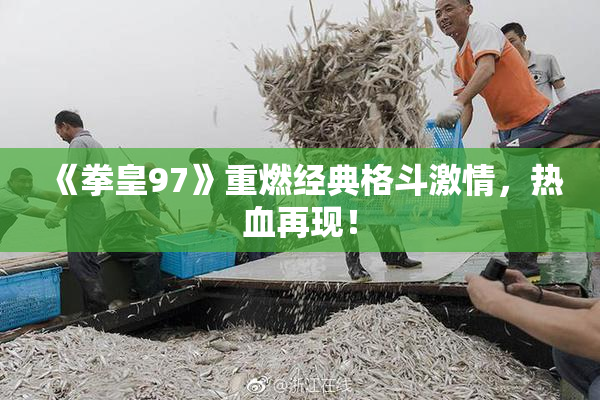 《拳皇97》重燃经典格斗激情，热血再现！