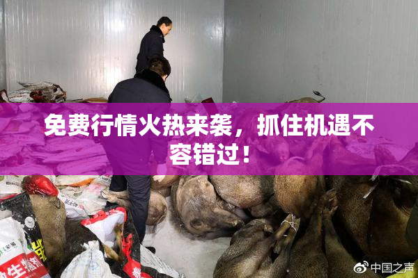 免费行情火热来袭，抓住机遇不容错过！