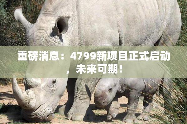 重磅消息：4799新项目正式启动，未来可期！