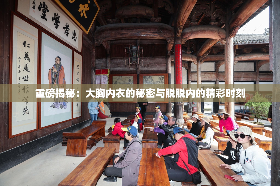 重磅揭秘：大胸内衣的秘密与脱脱内的精彩时刻
