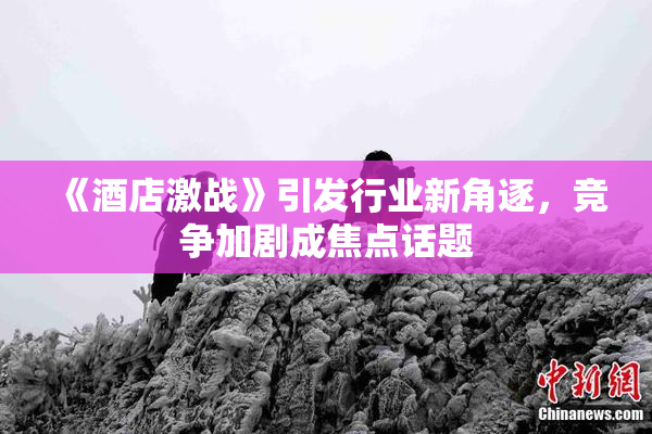《酒店激战》引发行业新角逐，竞争加剧成焦点话题