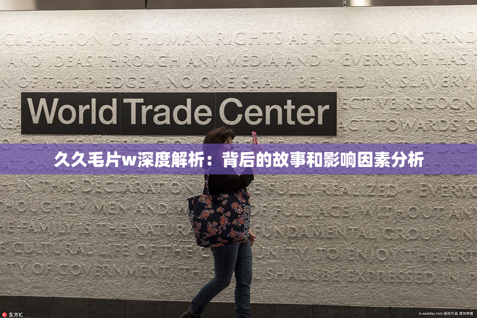 久久毛片w深度解析：背后的故事和影响因素分析