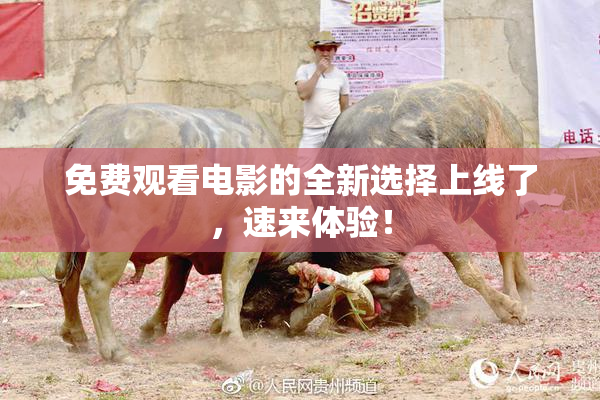 免费观看电影的全新选择上线了，速来体验！