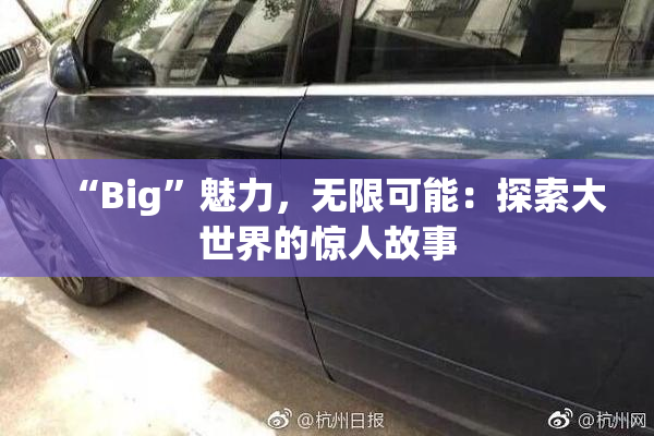 “Big”魅力，无限可能：探索大世界的惊人故事