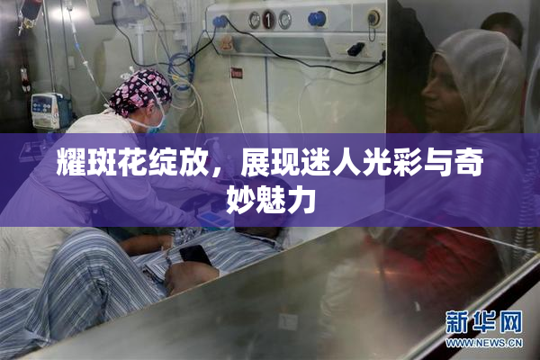 耀斑花绽放，展现迷人光彩与奇妙魅力