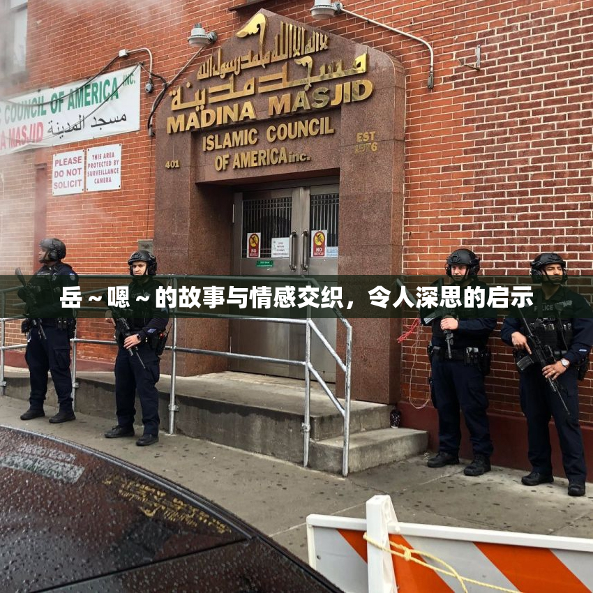 岳～嗯～的故事与情感交织，令人深思的启示