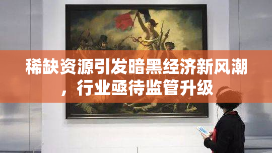 稀缺资源引发暗黑经济新风潮，行业亟待监管升级