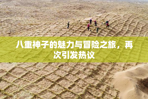 八重神子的魅力与冒险之旅，再次引发热议