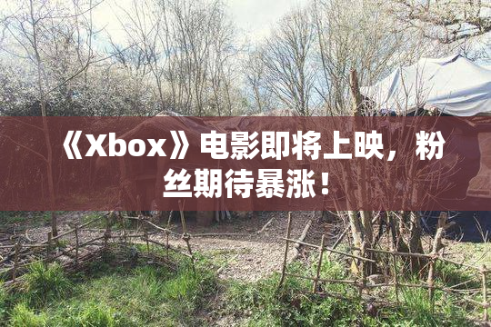 《Xbox》电影即将上映，粉丝期待暴涨！