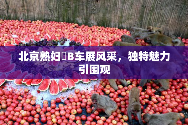 北京熟妇槡B车展风采，独特魅力引围观