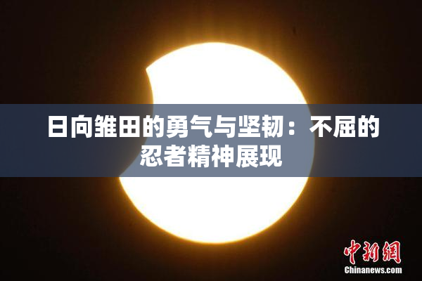 日向雏田的勇气与坚韧：不屈的忍者精神展现