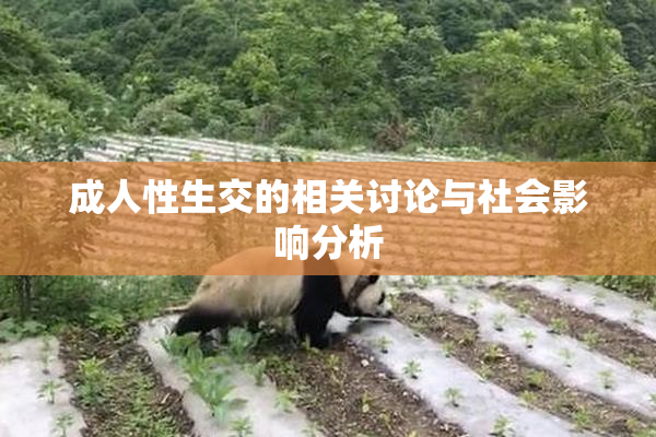 成人性生交的相关讨论与社会影响分析