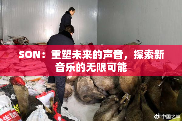SON：重塑未来的声音，探索新音乐的无限可能