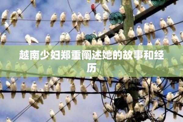 越南少妇郑重阐述她的故事和经历