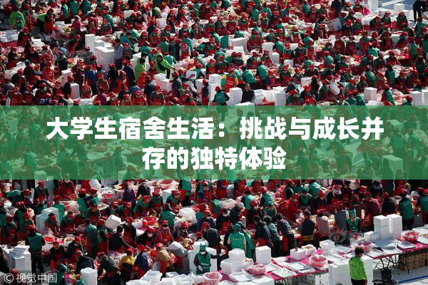大学生宿舍生活：挑战与成长并存的独特体验