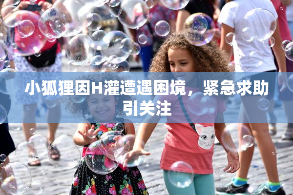 小狐狸因H灌遭遇困境，紧急求助引关注