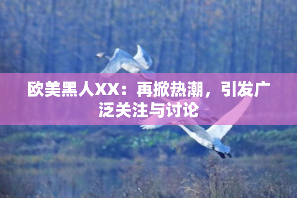 欧美黑人XX：再掀热潮，引发广泛关注与讨论