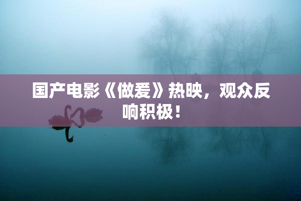 国产电影《做爰》热映，观众反响积极！