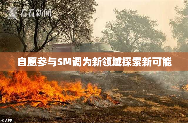 自愿参与SM调为新领域探索新可能