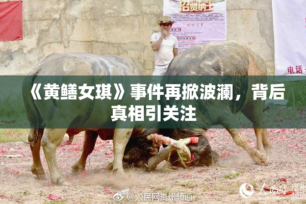 《黄鳝女琪》事件再掀波澜，背后真相引关注