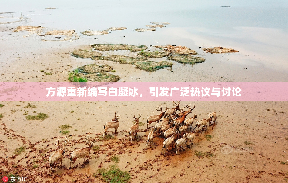 方源重新编写白凝冰，引发广泛热议与讨论