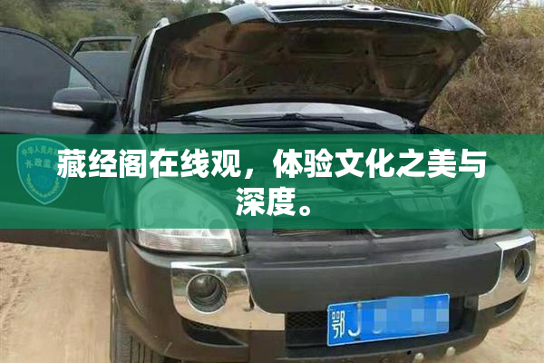 藏经阁在线观，体验文化之美与深度。