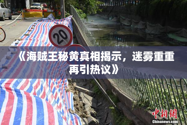《海贼王秘黄真相揭示，迷雾重重再引热议》