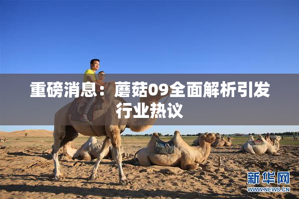 重磅消息：蘑菇09全面解析引发行业热议