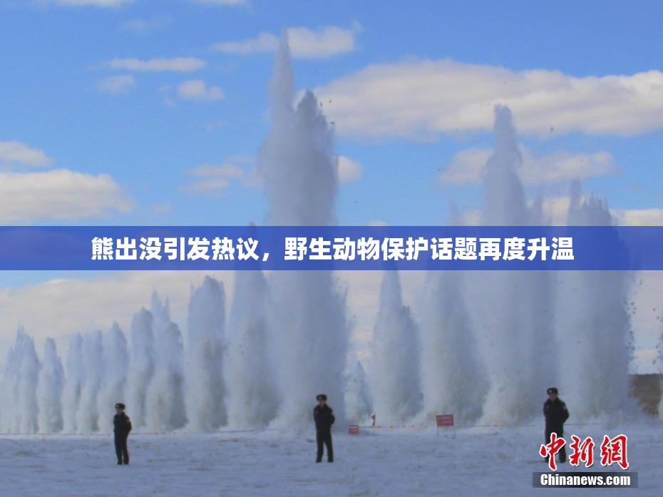 熊出没引发热议，野生动物保护话题再度升温