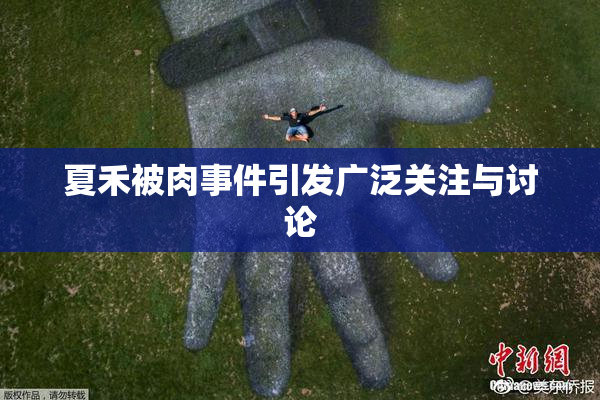 夏禾被肉事件引发广泛关注与讨论