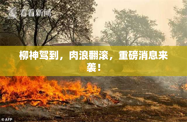 柳神驾到，肉浪翻滚，重磅消息来袭！