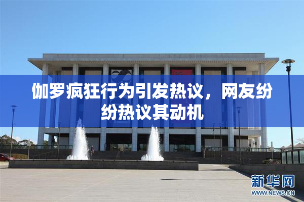 伽罗疯狂行为引发热议，网友纷纷热议其动机