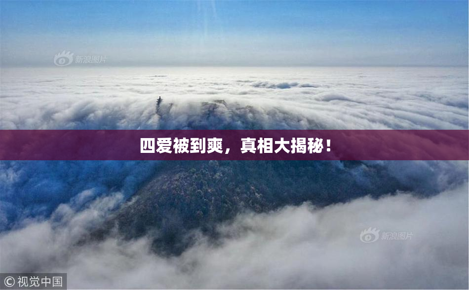 四爱被到爽，真相大揭秘！