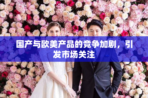 国产与欧美产品的竞争加剧，引发市场关注