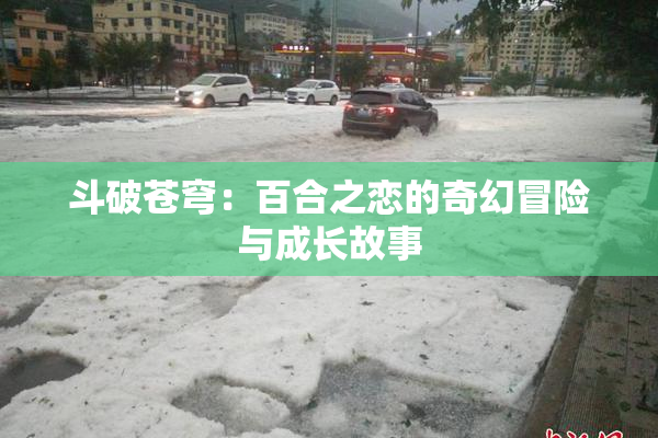 斗破苍穹：百合之恋的奇幻冒险与成长故事