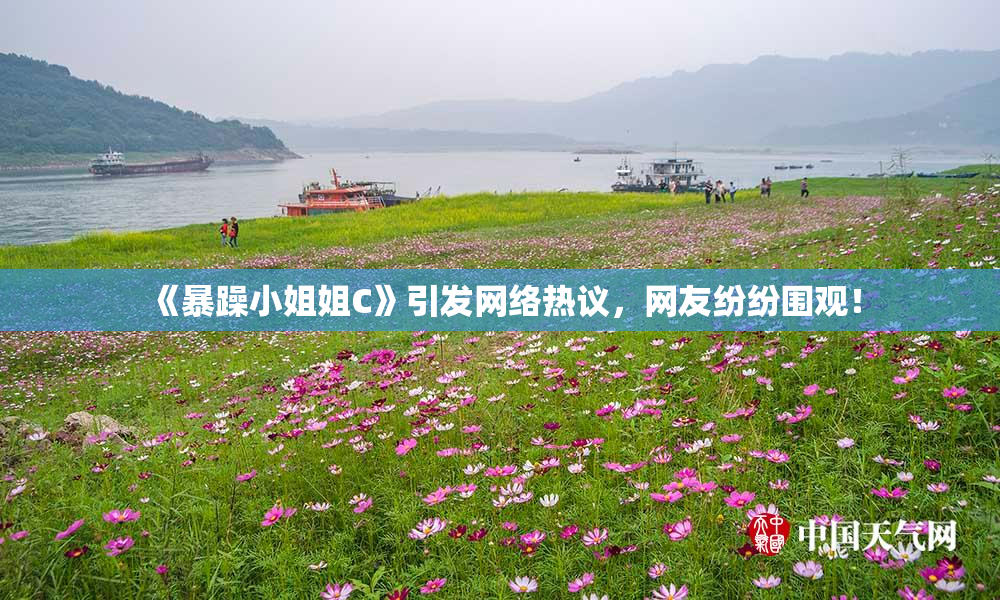 《暴躁小姐姐C》引发网络热议，网友纷纷围观！