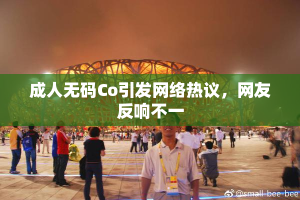 成人无码Co引发网络热议，网友反响不一