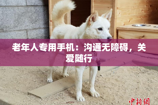 老年人专用手机：沟通无障碍，关爱随行